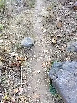 desi alpha boy online show from January 16, 1:42 am