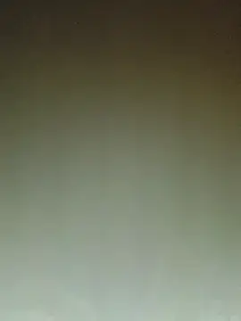 ArgentinaShani online show from February 11, 3:00 am