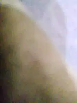 punanibully16 online show from January 7, 3:53 am