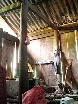 Snapshot of Lily-ross22 chatting on November 25, 5:07 am Lily-ross22 online show from November 25, 5:07 am