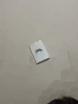 Snapshot of PartiedOmelet chatting on January 9, 1:14 pm PartiedOmelet online show from January 9, 1:14 pm