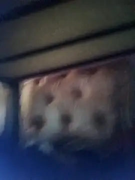 Cuteyuuboy2086 online show from January 13, 1:05 pm