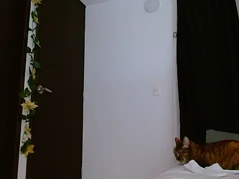 seductrixee online show from January 12, 12:16 am