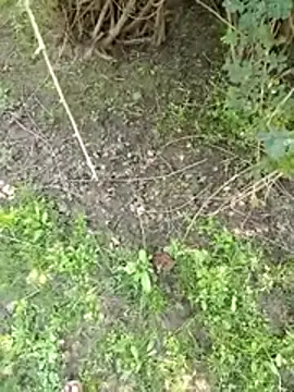 Snapshot of 88zaifkhan88 chatting on March 2, 5:08 am 88zaifkhan88 online show from March 2, 5:08 am