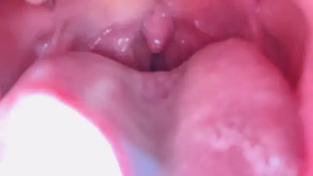 Snapshot of LT-333 chatting on January 17, 7:17 pm LT-333 online show from January 17, 7:17 pm