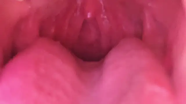 Snapshot of LT-333 chatting on January 18, 7:23 am LT-333 online show from January 18, 7:23 am