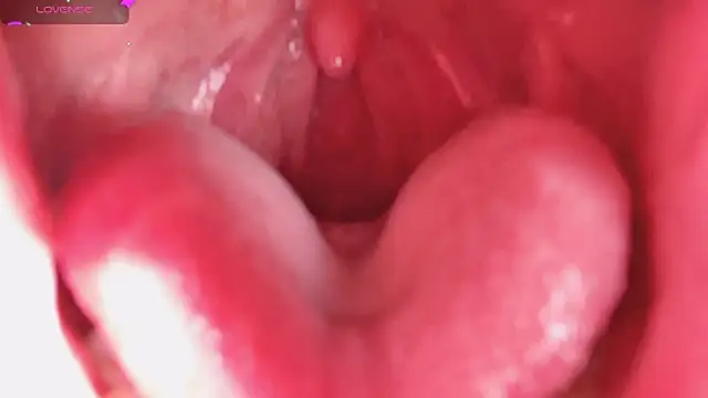 Snapshot of LT-333 chatting on February 5, 8:24 pm LT-333 online show from February 5, 8:24 pm