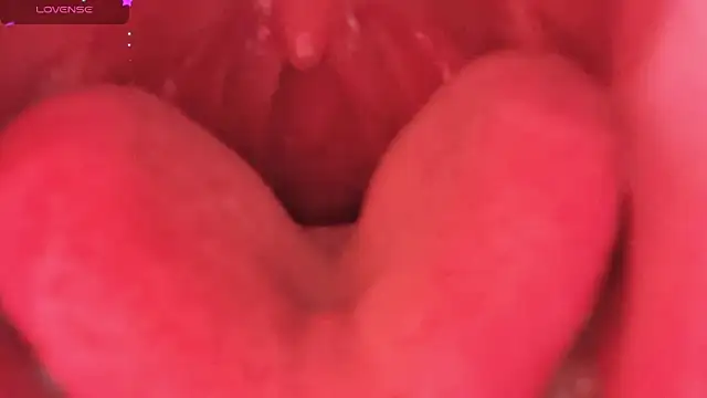 Snapshot of LT-333 chatting on February 6, 8:34 pm LT-333 online show from February 6, 8:34 pm