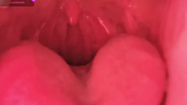 Snapshot of LT-333 chatting on February 7, 8:45 pm LT-333 online show from February 7, 8:45 pm