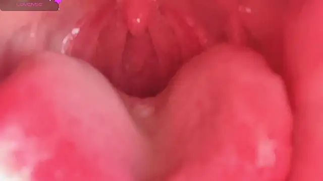 Snapshot of LT-333 chatting on February 10, 4:33 pm LT-333 online show from February 10, 4:33 pm