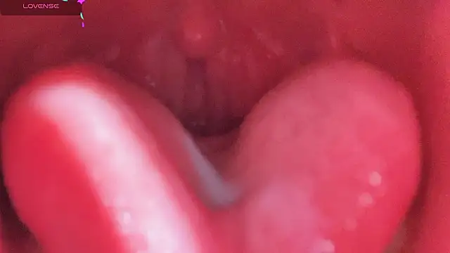 Snapshot of LT-333 chatting on February 25, 5:11 pm LT-333 online show from February 25, 5:11 pm