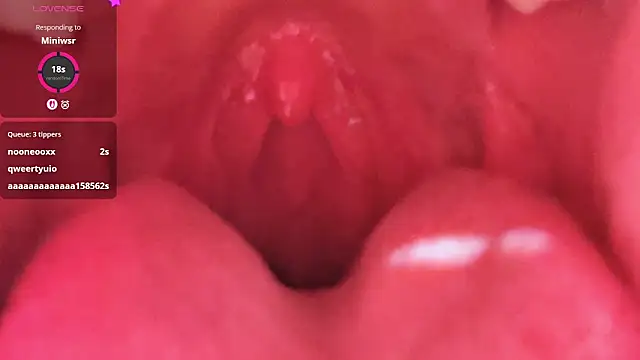 Snapshot of LT-333 chatting on February 26, 5:23 pm LT-333 online show from February 26, 5:23 pm