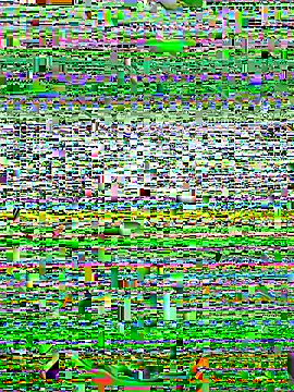 alexzzzzzppp online show from November 27, 3:47 pm