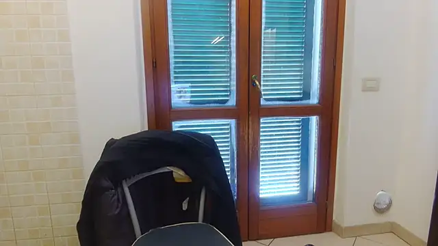 Snapshot of AMIRDIB2025 chatting on February 21, 10:27 am AMIRDIB2025 online show from February 21, 10:27 am