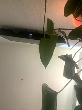 Snapshot of redheadangel_5 chatting on November 29, 10:35 pm redheadangel 5 online show from November 29, 10:35 pm