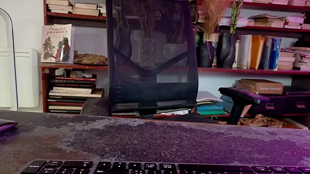 Snapshot of diogene11 chatting on November 29, 8:50 am diogene11 online show from November 29, 8:50 am