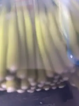 Ghost-Zero online show from March 21, 11:59 am