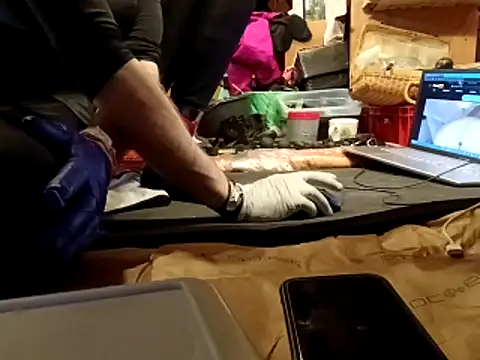 laaralatexxa BDSM online show from March 13, 4:08 am