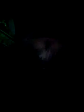 KF hway online show from March 25, 11:11 pm