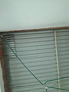 CatalinaWright online show from January 11, 12:10 pm