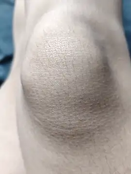 Snapshot of Miky_Lyn chatting on February 18, 5:53 pm Miky Lyn online show from February 18, 5:53 pm