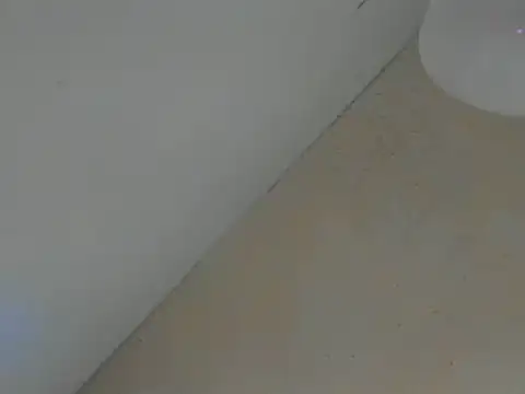 SweeXioji online show from March 2, 6:59 pm