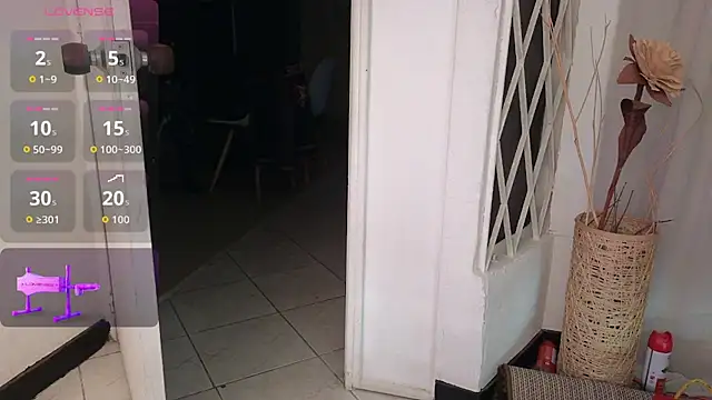 Saly Moon1 online show from December 13, 8:47 pm