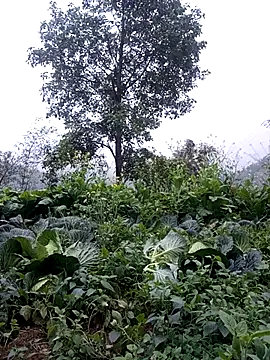 sary-hot2x online show from February 24, 10:46 am