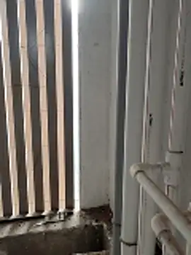 boyfromMum bai online show from January 16, 2:48 am