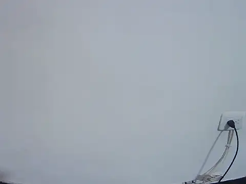 Snapshot of Fernanda_andrew chatting on February 24, 4:49 pm Fernanda andrew online show from February 24, 4:49 pm