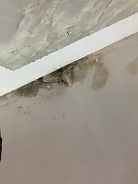 Mon babyy online show from February 10, 4:27 am