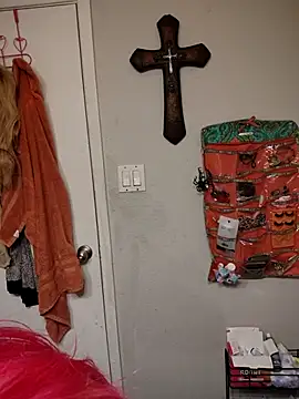 Snapshot of SpiderRose chatting on February 5, 6:07 am SpiderRose online show from February 5, 6:07 am