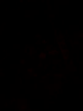 1Aya1Mustafa online show from March 30, 2:07 pm