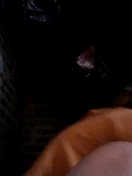 yana-zz online show from March 28, 1:38 am