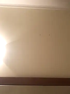 Snapshot of Palinchik chatting on January 7, 9:39 pm Palinchik online show from January 7, 9:39 pm