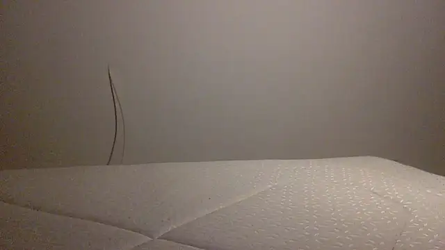 Snapshot of Palinchik chatting on February 1, 10:41 pm Palinchik online show from February 1, 10:41 pm