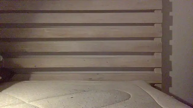 Snapshot of Palinchik chatting on February 25, 2:43 am Palinchik online show from February 25, 2:43 am