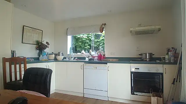 Snapshot of Andypie6 chatting on January 9, 11:39 pm Andypie6 online show from January 9, 11:39 pm