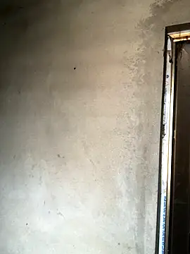 Pege-nii online show from December 18, 5:35 am