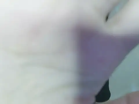 Snapshot of Fish_136 chatting on June 3, 12:30 pm Fish 136 online show from June 3, 12:30 pm
