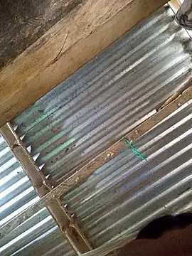 Snapshot of Rousse_uwu chatting on January 8, 5:15 pm Rousse uwu online show from January 8, 5:15 pm