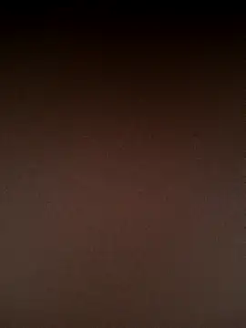 Snapshot of Rousse_uwu chatting on February 11, 3:55 am Rousse uwu online show from February 11, 3:55 am