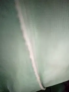 Snapshot of Rousse_uwu chatting on February 16, 12:45 pm Rousse uwu online show from February 16, 12:45 pm