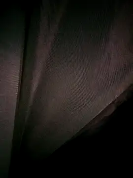 Snapshot of Rousse_uwu chatting on February 19, 4:19 am Rousse uwu online show from February 19, 4:19 am