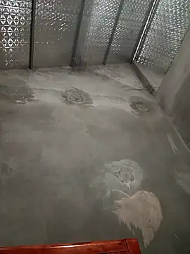 kat2026 online show from January 7, 6:16 am