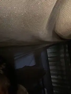 Nika-be online show from February 11, 3:44 am