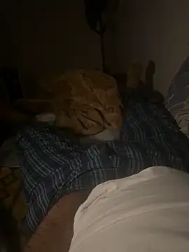 Night outcam online show from February 17, 7:20 pm