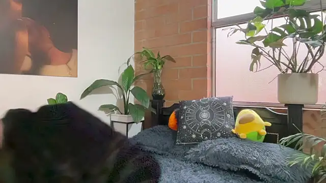 Andy Belier23 online show from February 20, 11:54 am