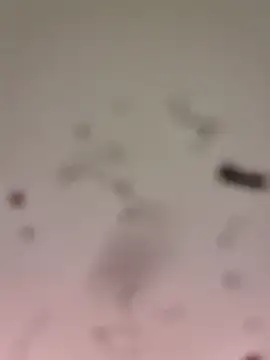 M8ygcthf3 online show from March 22, 6:50 am