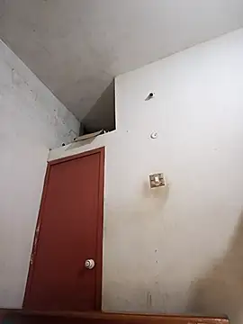 tamilsaisree online show from April 9, 5:29 pm